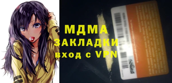 шишки Мегион