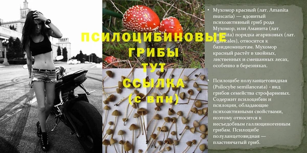 кокаин Михайловск