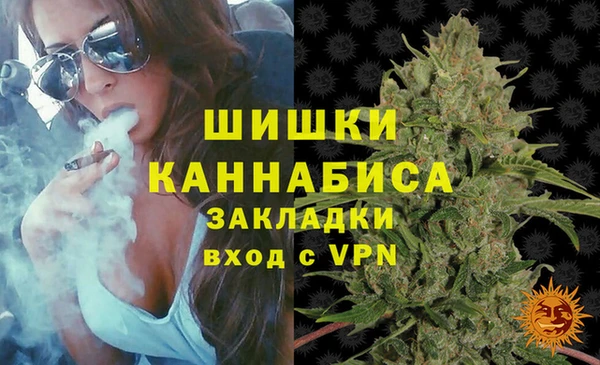 шишки Мегион