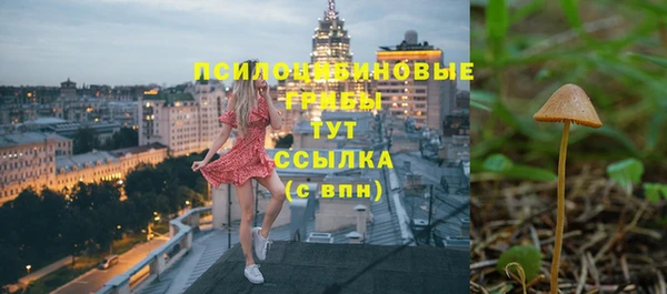 PSILOCYBIN Михайловка