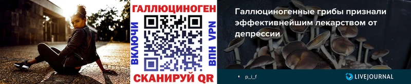 blacksprut ссылка  Козьмодемьянск  Псилоцибиновые грибы Magic Shrooms 